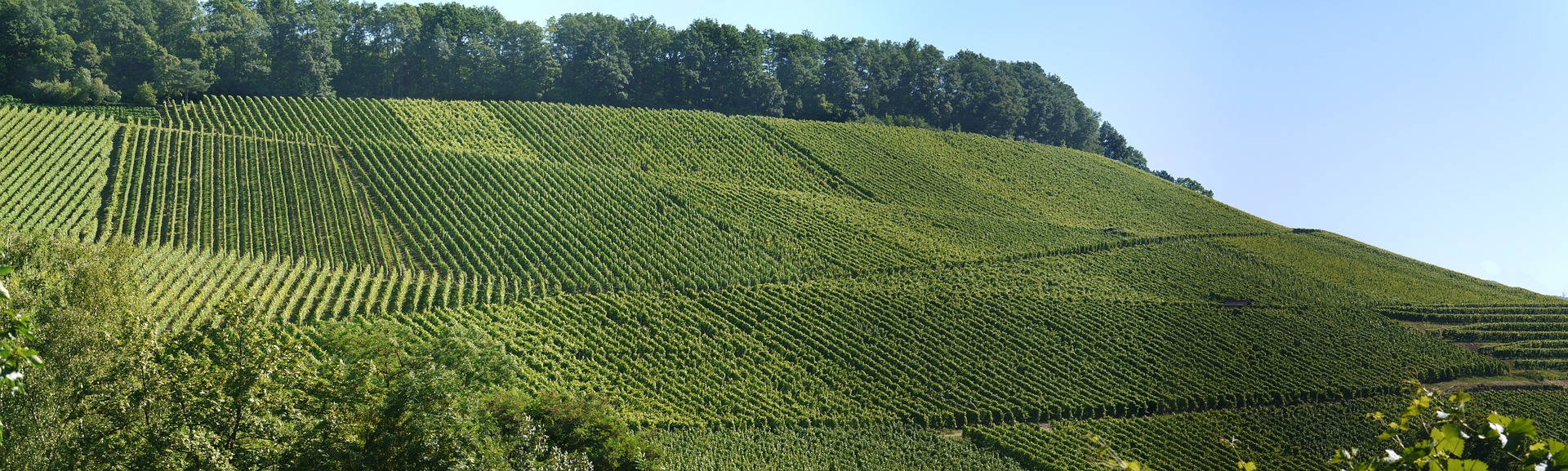panorama-1508206_1920.jpg